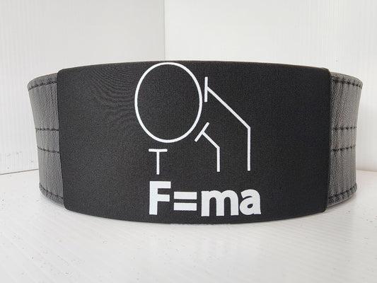 BeltSkinz - F=ma